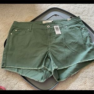 Torrid Green Short Short NWT